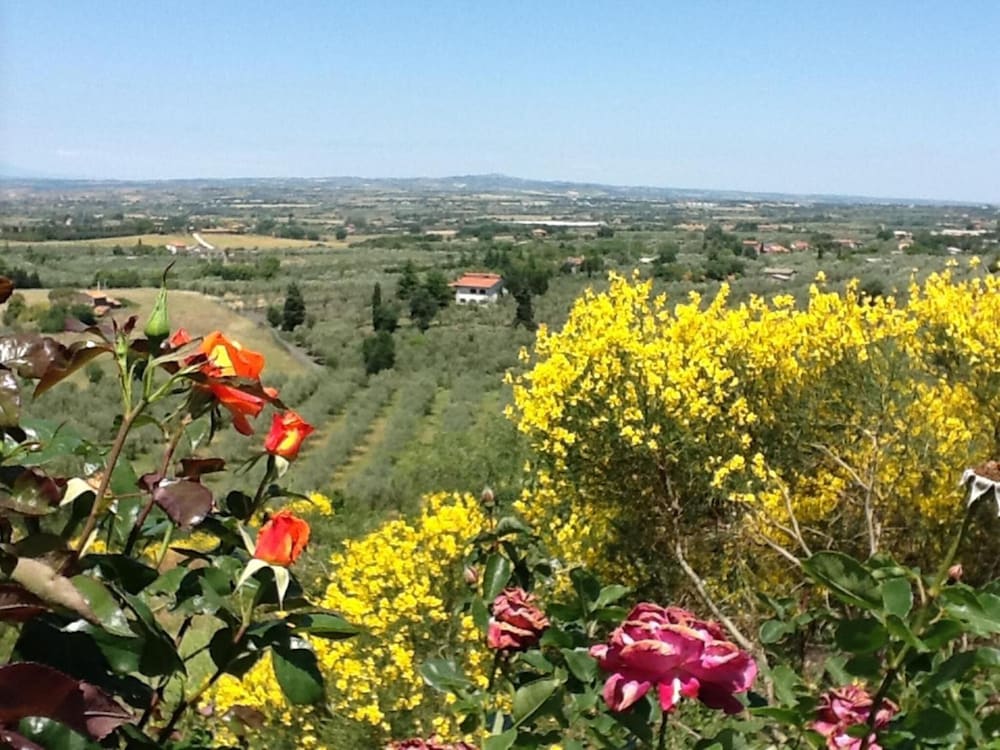 Agriturismo Montigliano