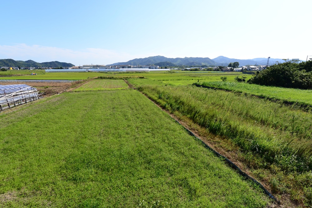 Haruno Guest House - Hostel