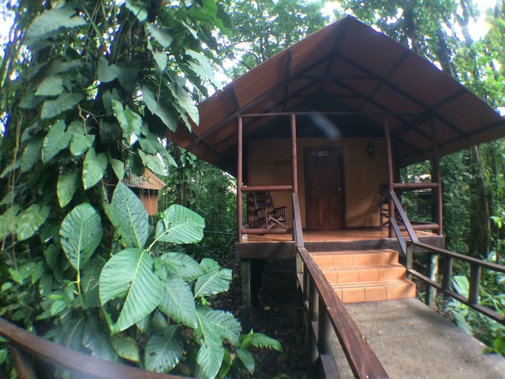 Foresta Lodge