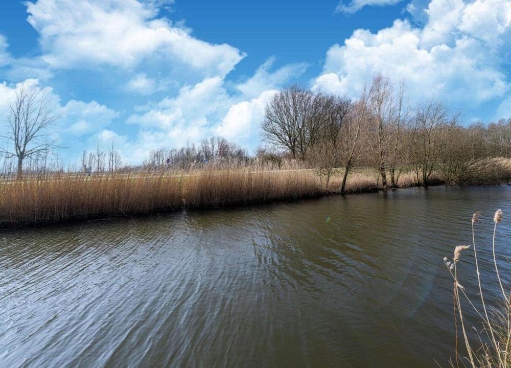Bungalow in South Holland by the Water