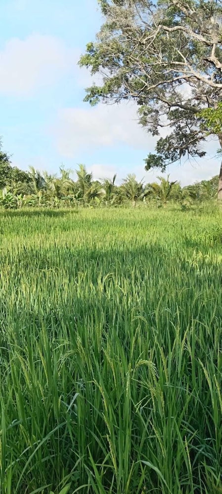 Hidden Jungle Village Wilpattu