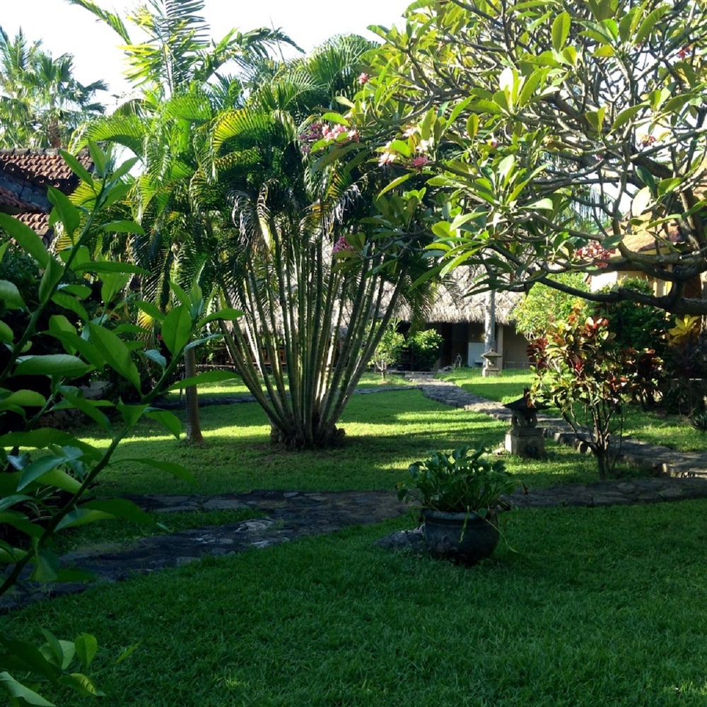 Photo 7