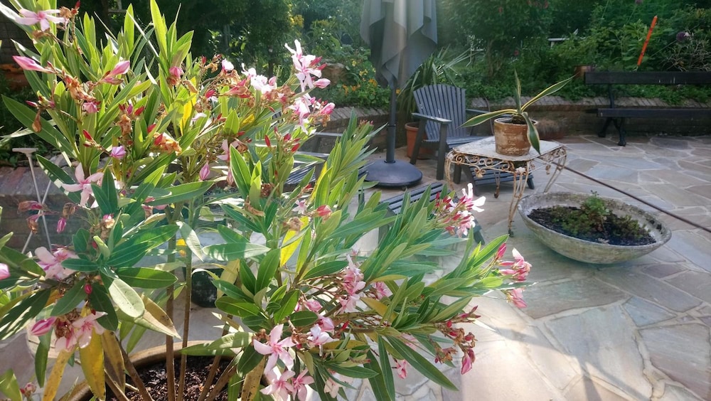Guesthouse Pickery