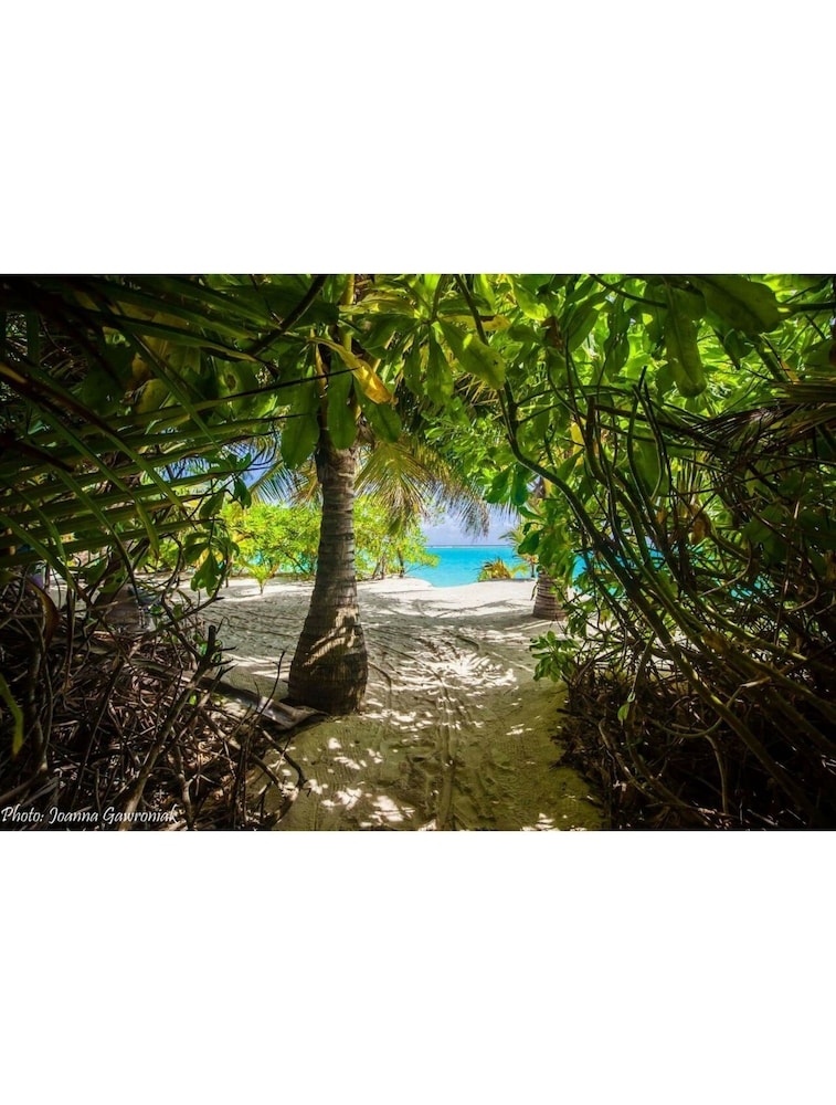 Thoddoo Beach View by Vista