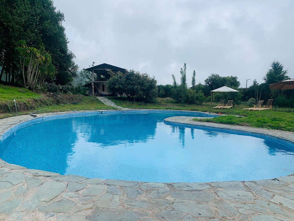 Cotopaxi Rainforest Family Hostel