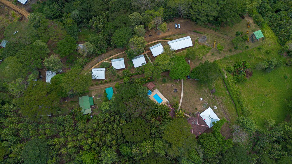 Tarcoles Birding Lodge