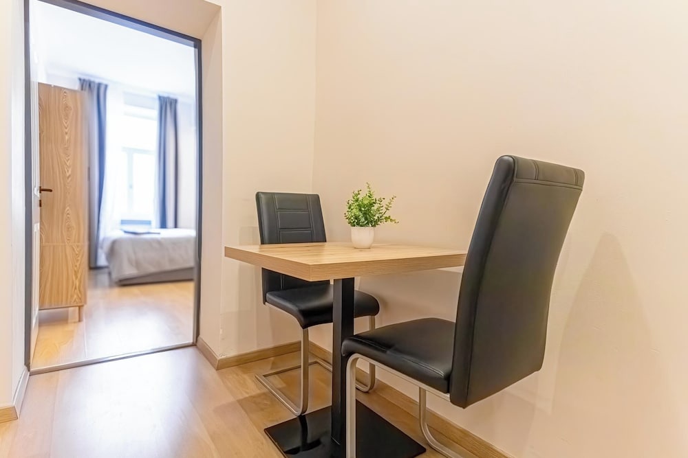 9BR Apts in the Heart of Vienna