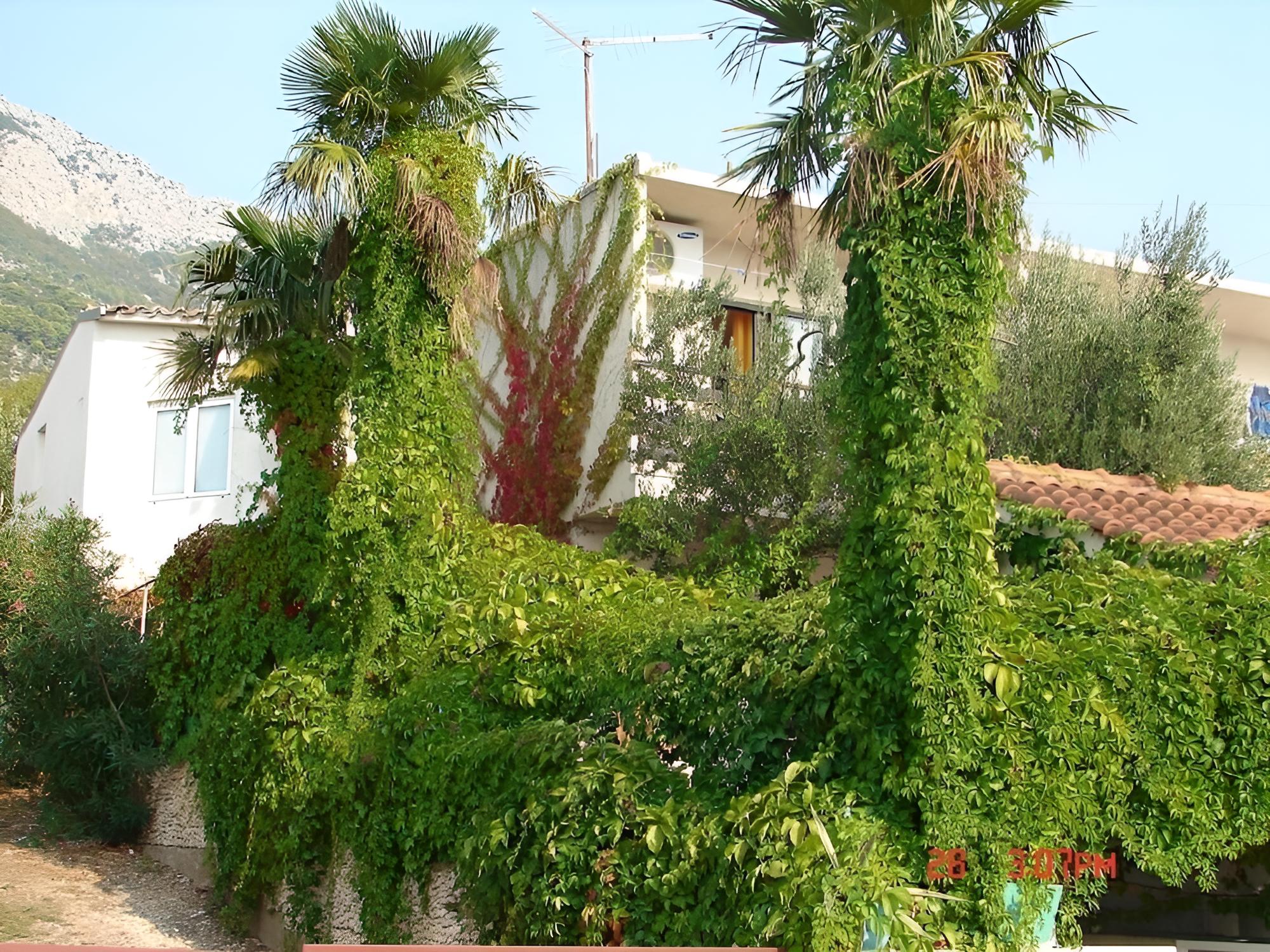 Photo 39