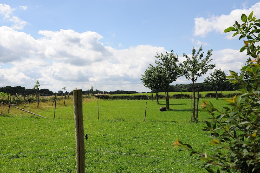 Holiday Home in Valkenburg Near Forest view 5