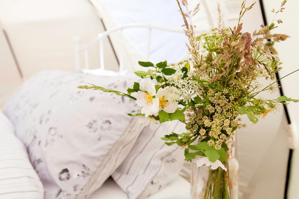 Loughborough Vacations - Stunning 1-bed Star Gazing Bell Tent Loughborough - Property Image 4