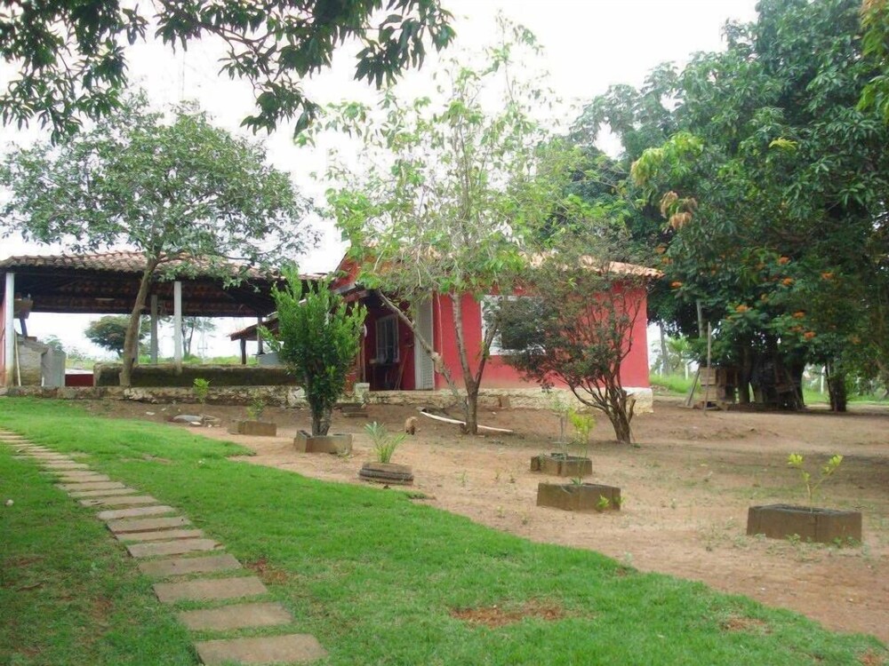 Photo 21