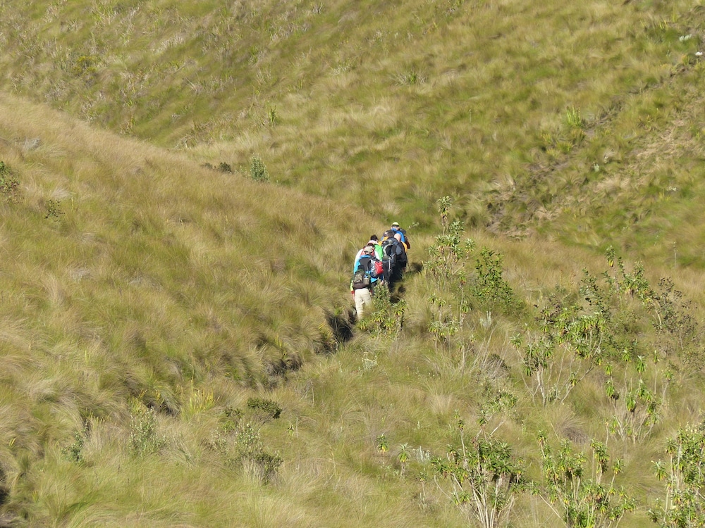 Refugio Terra Esperanza - Hostel