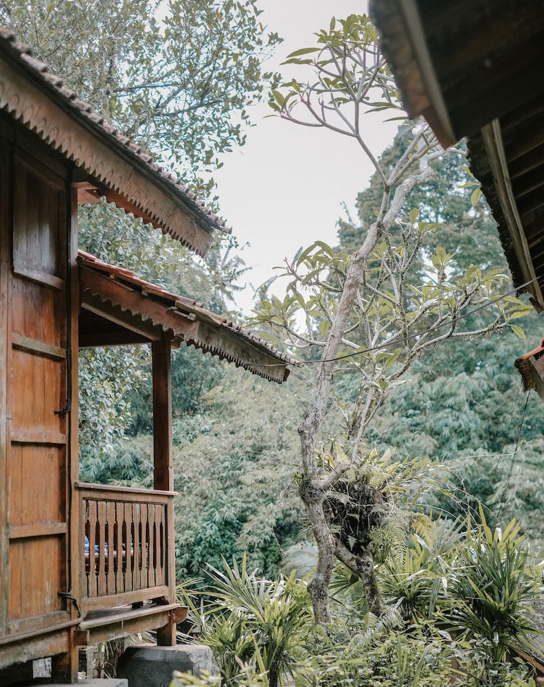 Song Broek Jungle Resort