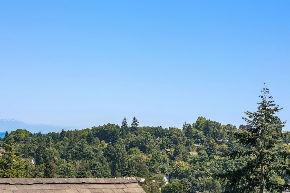 Seattle Vacation Home: The Great Wall