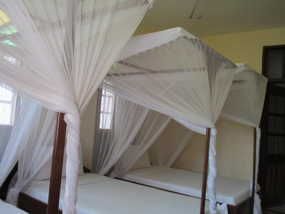 Abuso Inn