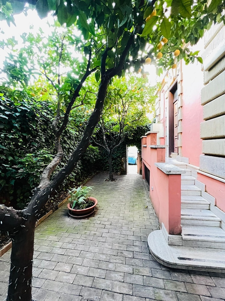 Orange Garden Bed & Breakfast