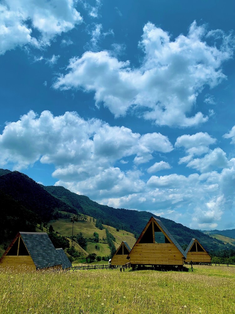 Refugios Nidos del Condor -Cocora-