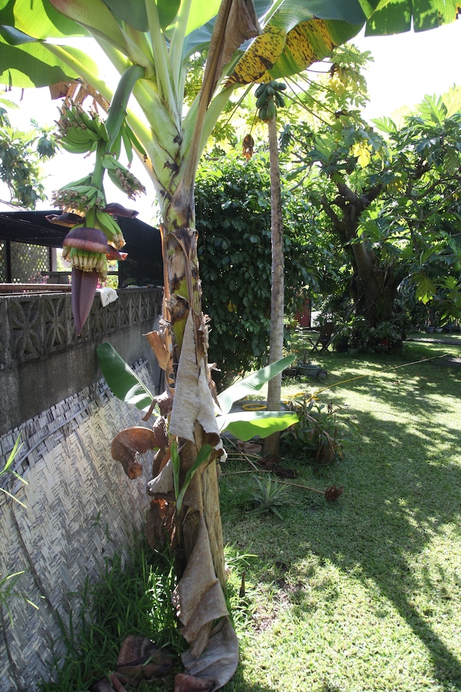 Photo 37