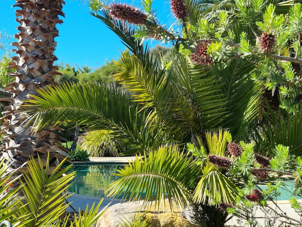 Island Cove Villas