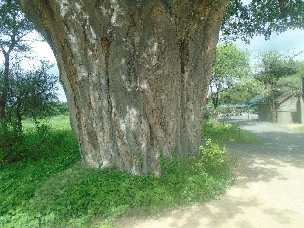 Photo 28
