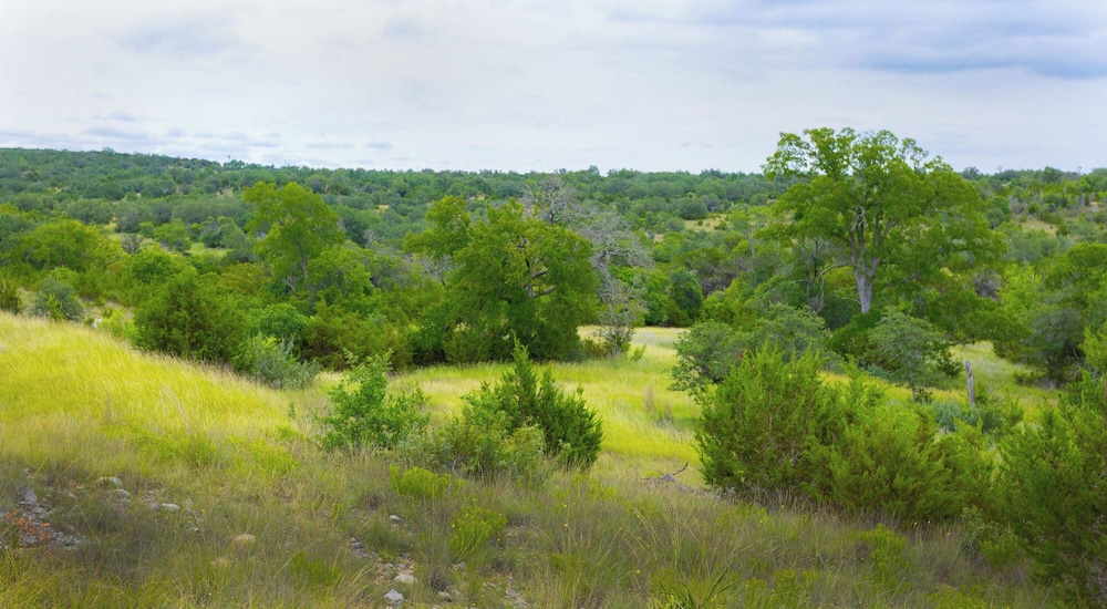 Shady Grove Tranquil Hill Country Cabin for 8 Near Pedernales Falls