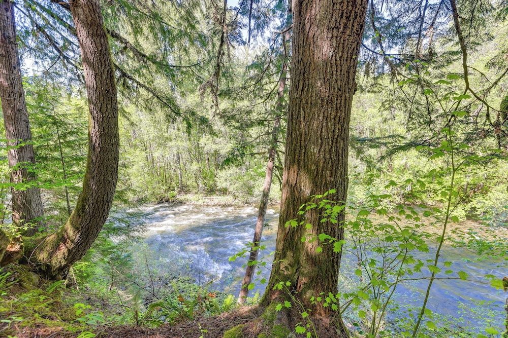 Nature-packed Mckenzie River Retreat w/ Trails!