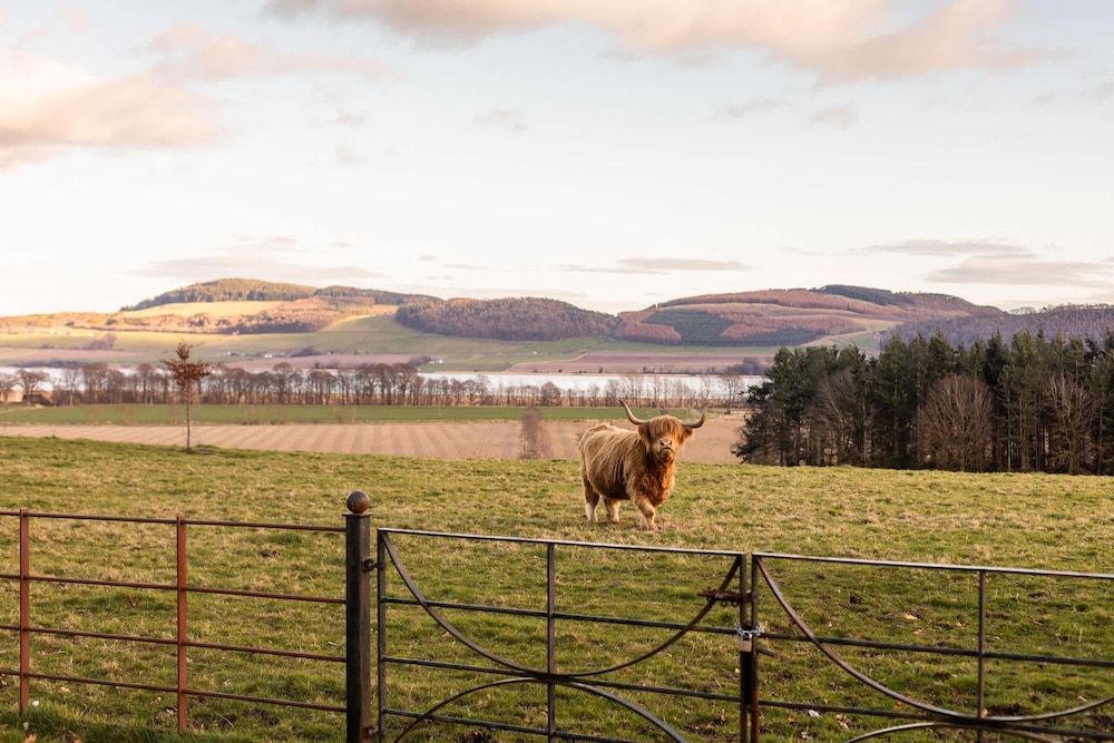 Errol Park - Stately Home Outbuildings Views