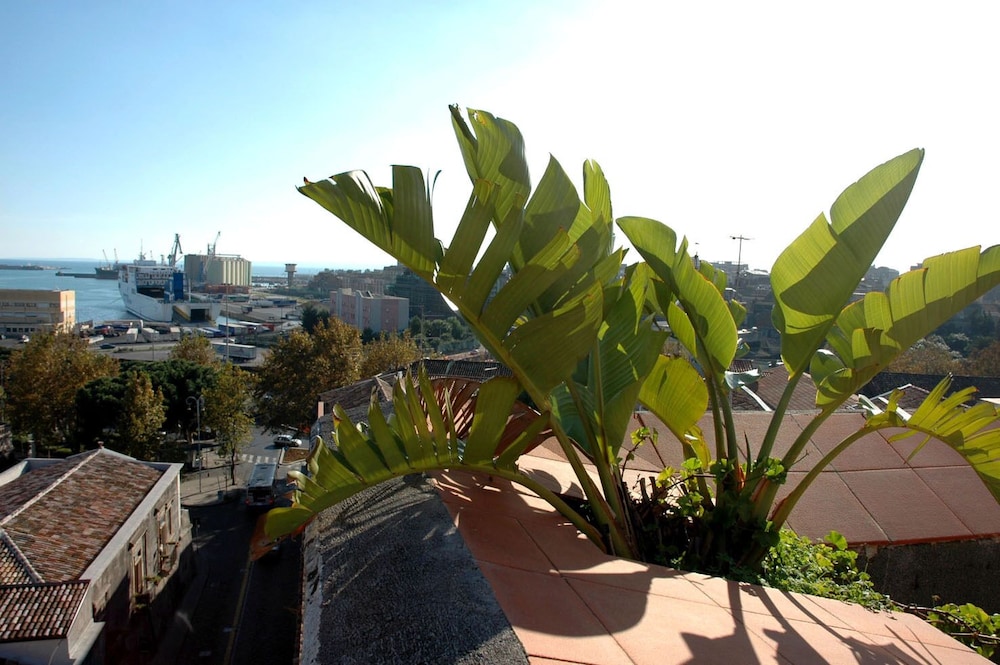 roof