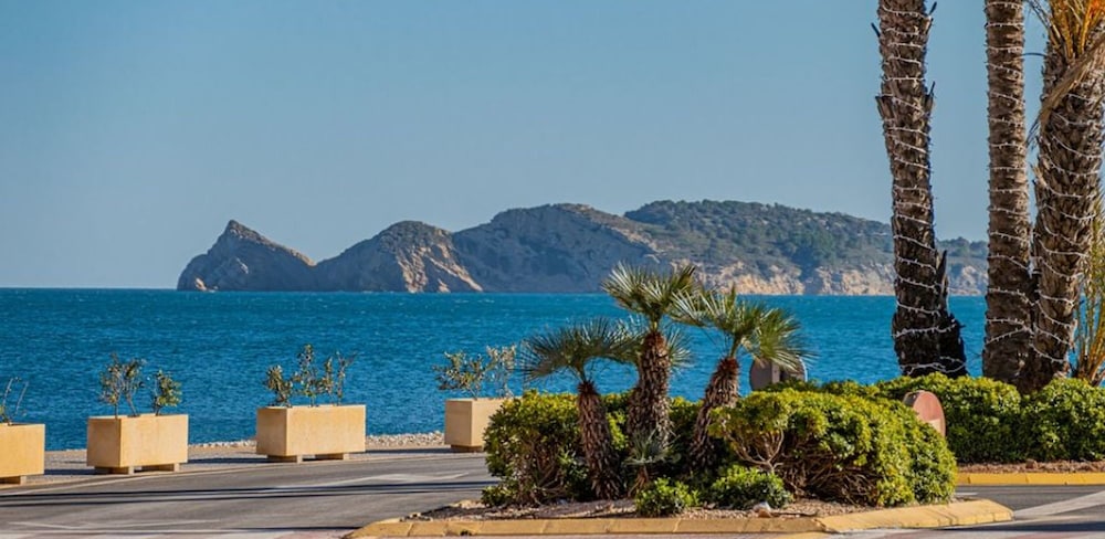 Delfines del Puerto in Javea