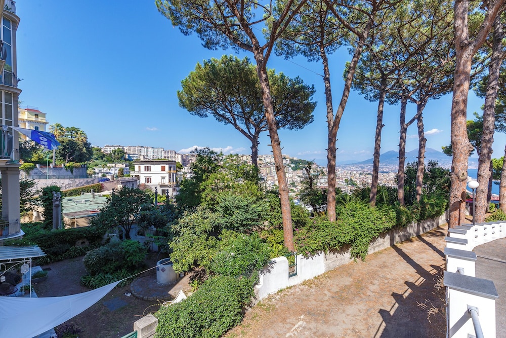 Romantic Place with Pines, cats and Stunning view photo 2