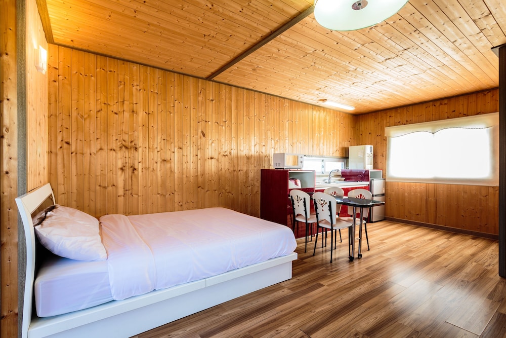 Olleh Windmill Pension & Guesthouse - Hostel
