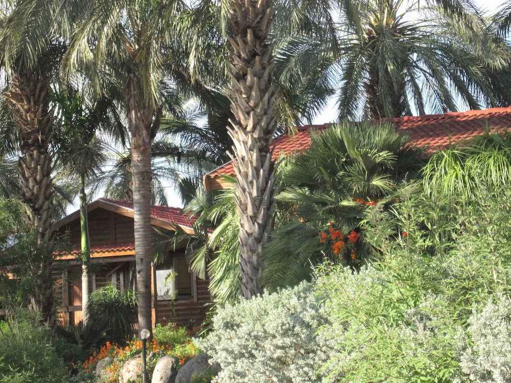 Naomi's B&B view 2