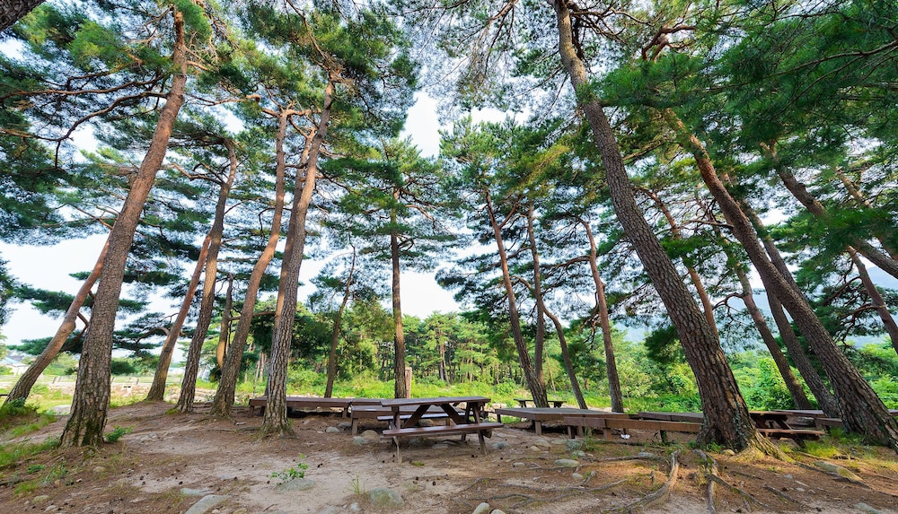 Seorak Pension