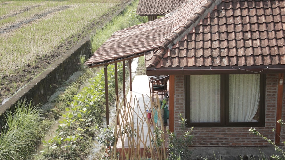 Alamanda Family Villas & Pool