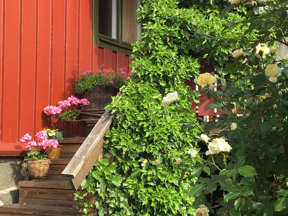 Annes Hus — photo 48