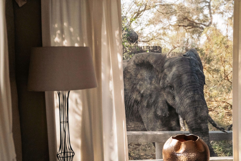 Simbavati River Lodge