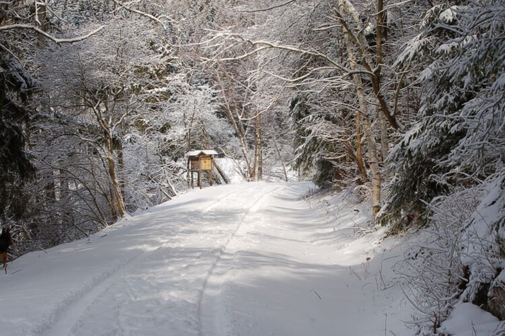 Holiday Home in Hasselfelde Near Selketalbahn