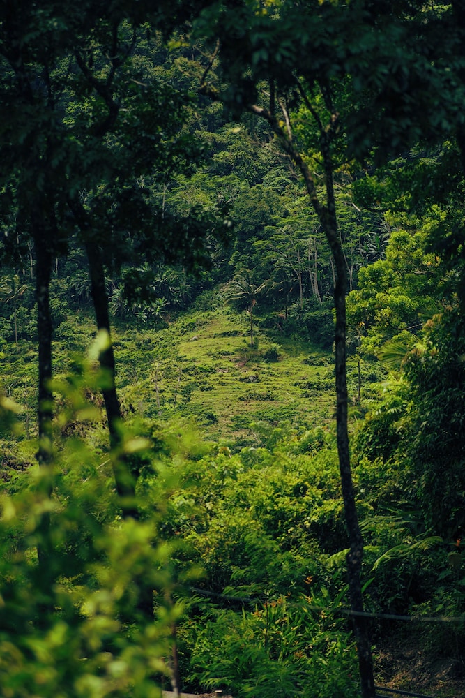 Matahom Forest Glamping Tent 2