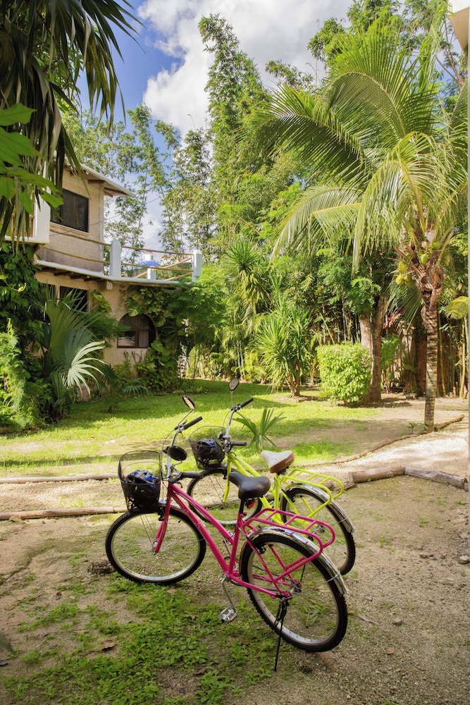 Mini Pini Birdwatching and Cenote Loft4 you Only