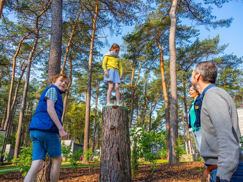 Tent Lodge With Bathroom 16 km From Maastricht