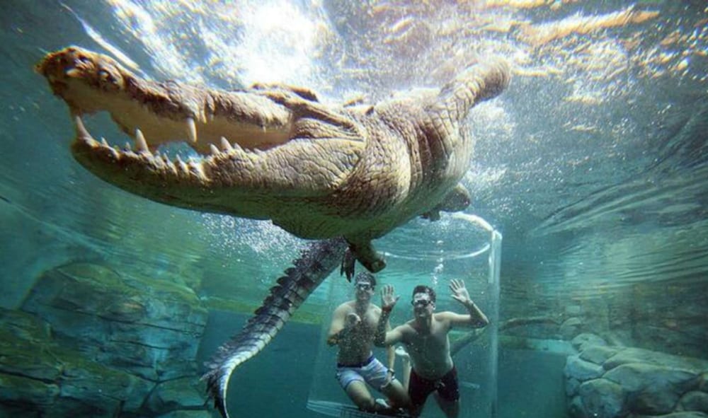 Zen Mitchell Rooftop Outdoor Dining Oceanview - Image 3