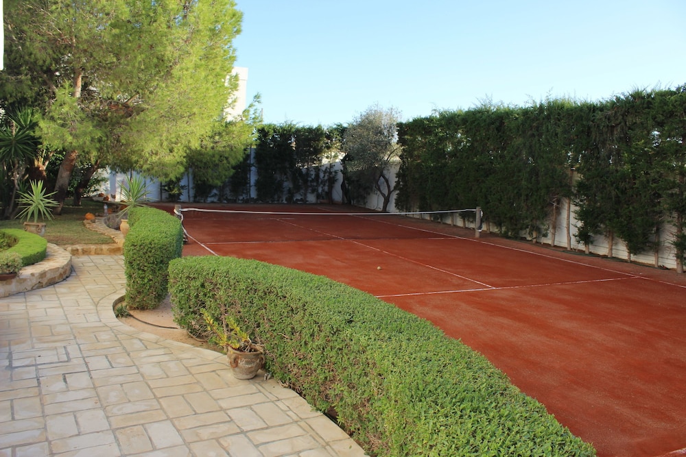 Photo 14