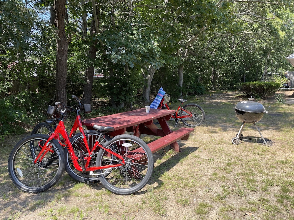 Viking Shores Motor Inn