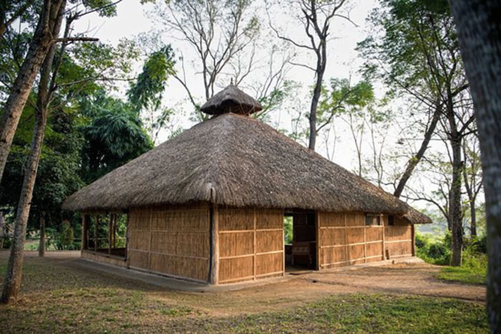 Tigertops Elephant Camp