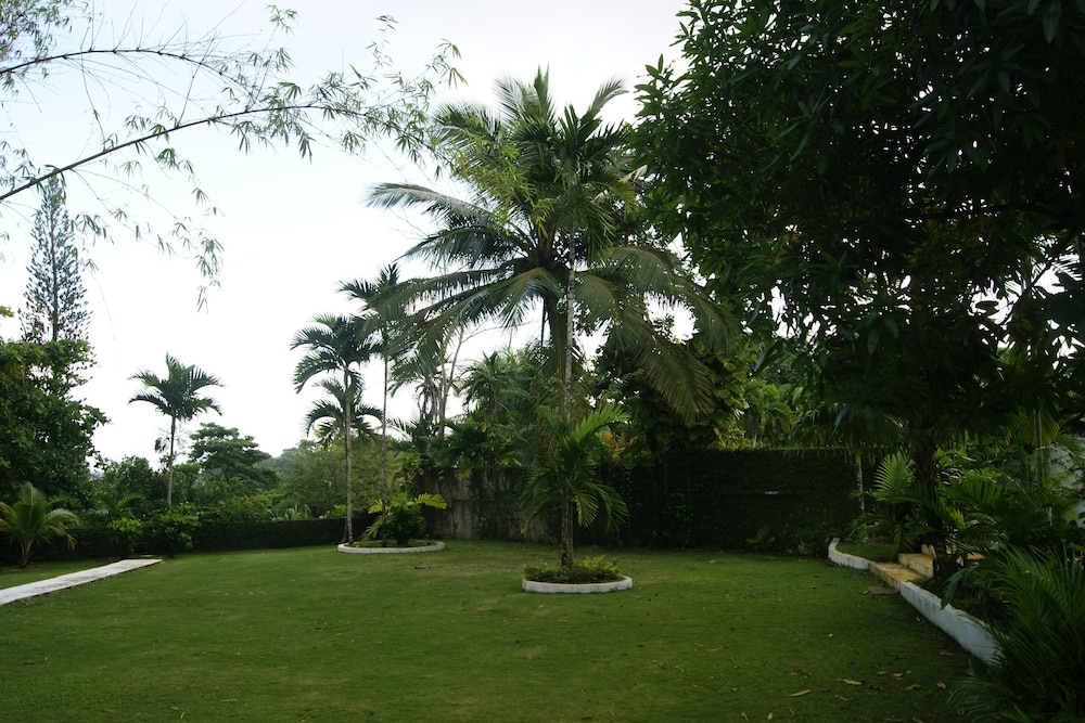 Photo 44