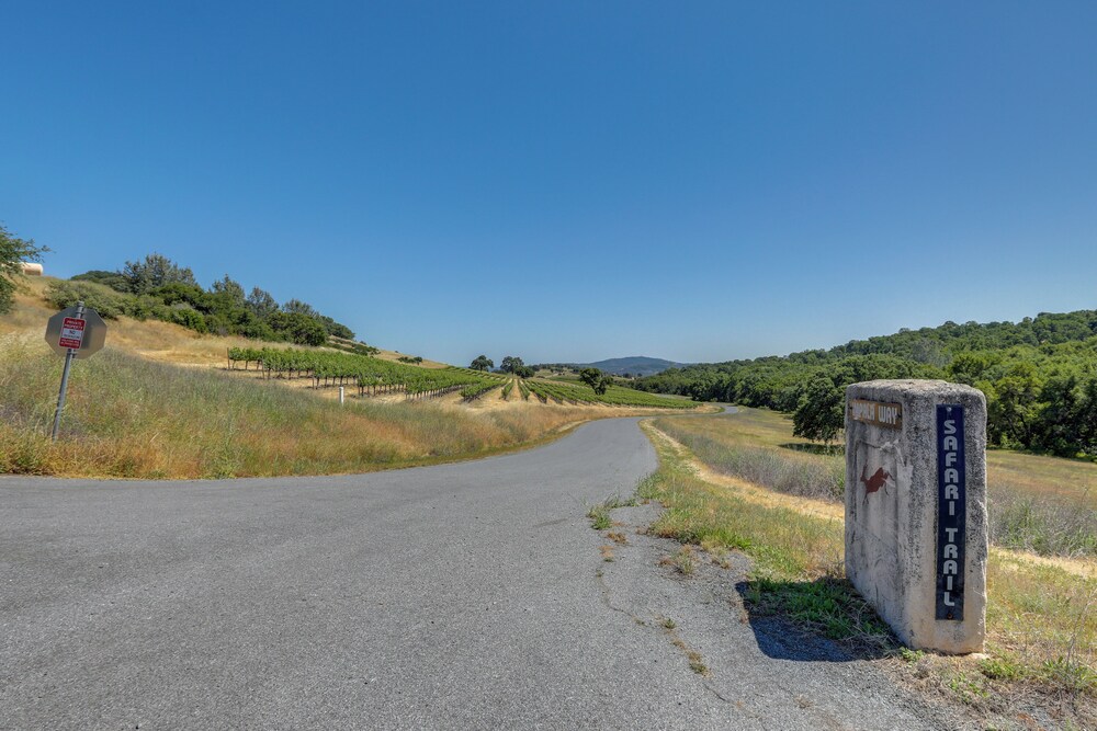 On-site Vineyard: Gem on 10 Acres in Pilot Hill!