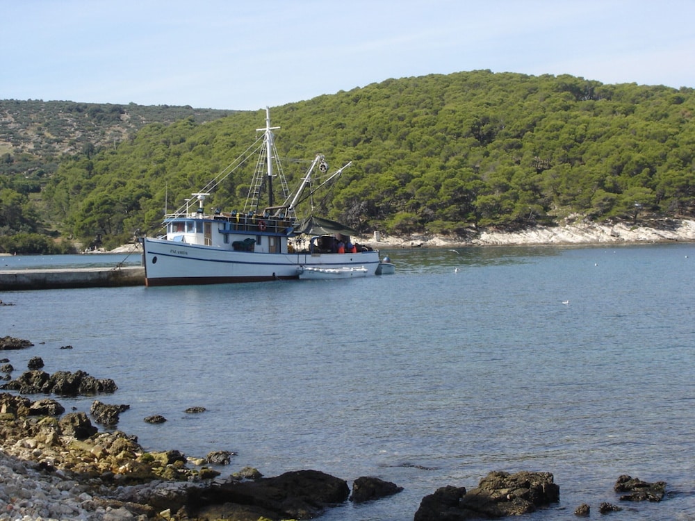 Photo 16