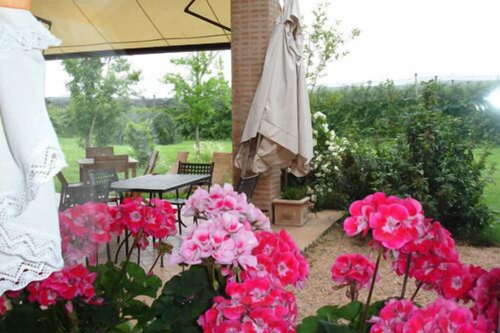 Agriturismo Ca' Del Ferro