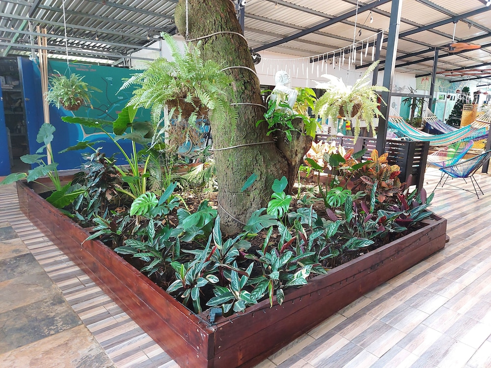 Hotel Tucan