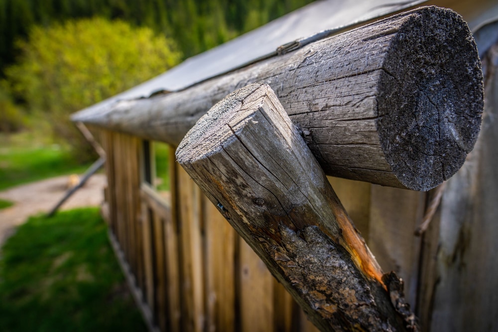 Moose Creek Ranch